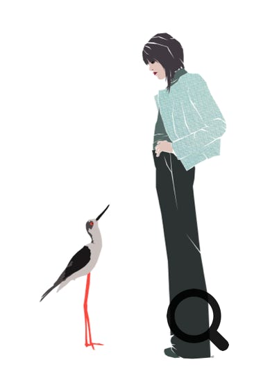Illustration Stelzen