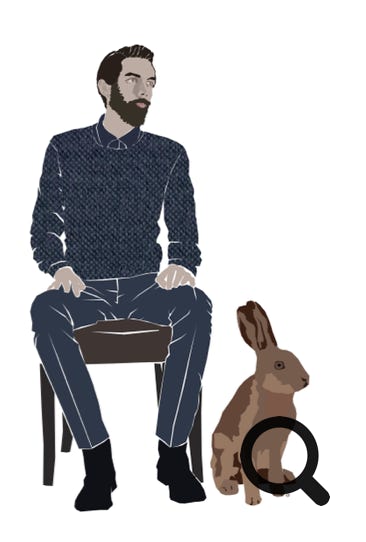 Illustration Has