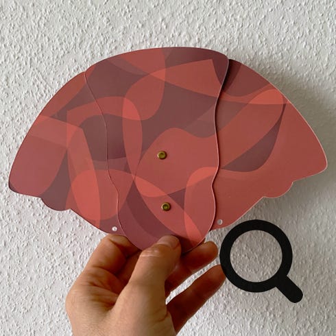 Fächer Coral